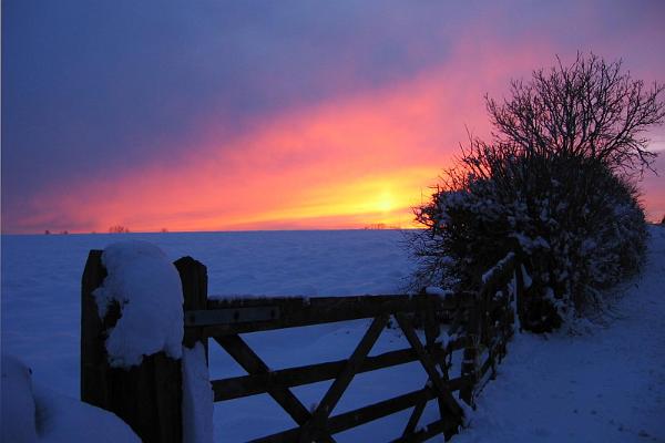 february evening 1.jpg